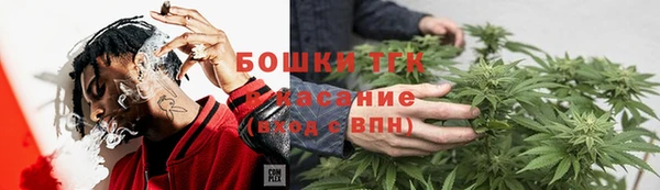 дживик Липки