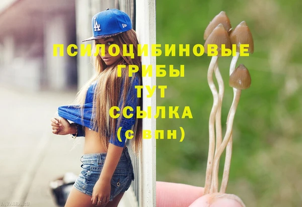 дживик Липки