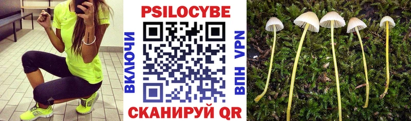 наркота  Солигалич  Псилоцибиновые грибы мицелий 